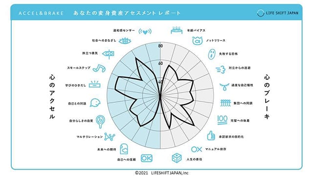 あなたの変身資産アセスメントレポート