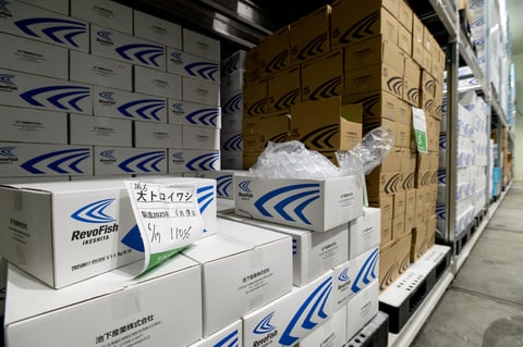 「Revolution」(革命)と「Fish」を掛け合わせたブランド名「RevoFish」