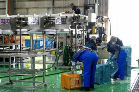 大規模な投資を行い2017年に開所した冷凍工場