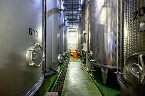 main_wine-10